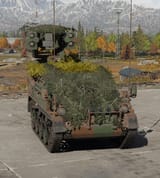 long wiesel