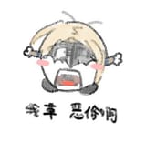 no translation