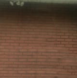 Just_a_wall