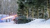 waffentraeger-wiesel-mells-wildflecken-schuss