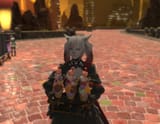 ffxiv_dx11_2025-05-16_20-58-44