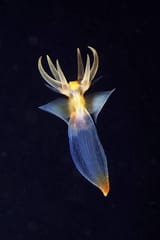 images - 2025-07-11T130246.231