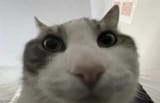 1741076014843636