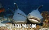i-feel-you-bro-thumb