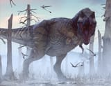 t rex herschel hoffmyer