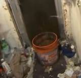 poop bucket