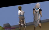the cape