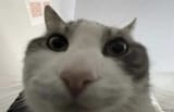 1746182326940763