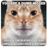 dumnigger
