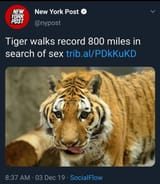 1598602334531
