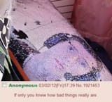 1700396456184542