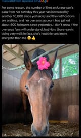 haru-uraras-farm-responded-to-recent-overseas-popularity-v0-88juadk3llaf1