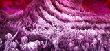 back205500_1344_626