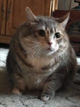 1559803221804