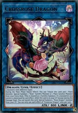 CrossroseDragon-LDS2-EN-UR-1E