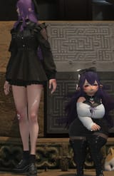 ffxiv_dx11_dBssfB2fGr