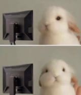 Gg4MyBkWwAAY_Nv