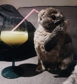 drinking