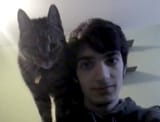 cat and dog