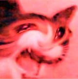 1692210572062776