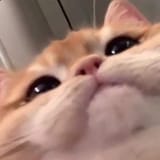 1742416599326902