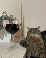 cat wine