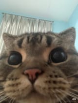 20250710_060711