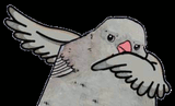 dabbing pigeon