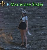 ffxiv_dx11_cO4hXTPSx0