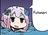 fu