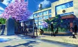 sakura