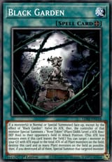 BlackGarden-LDS2-EN-C-1E