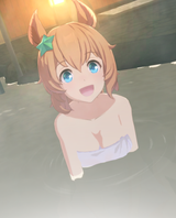 taiki shuttle hotsprings