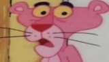 Bruh Panther