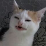 1723557528443166
