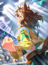 pokke