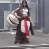 gorillasegs