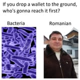 1739516771101360