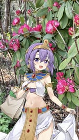 medusa fabulous with bag around plants