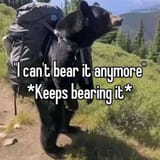 1723174023787477