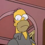 homer stare