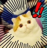 0A6F64CC-60DF-487D-9AB3-583A1687E867