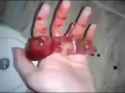 1732749737713677_thumb.jpg
