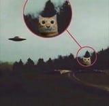 1720959999225179