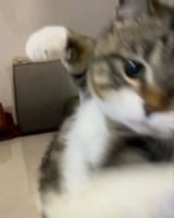 1737723788749497