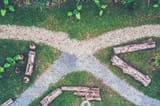 aerial-view-of-branching-garden-path-design