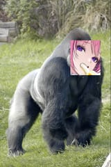 648156654879