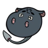 full_ratita