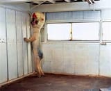 scp_173