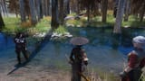 swamp